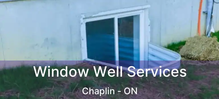  Window Well Services Chaplin - ON