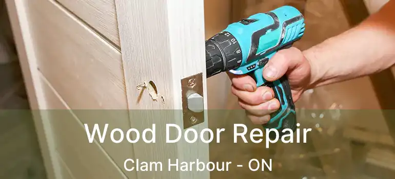  Wood Door Repair Clam Harbour - ON